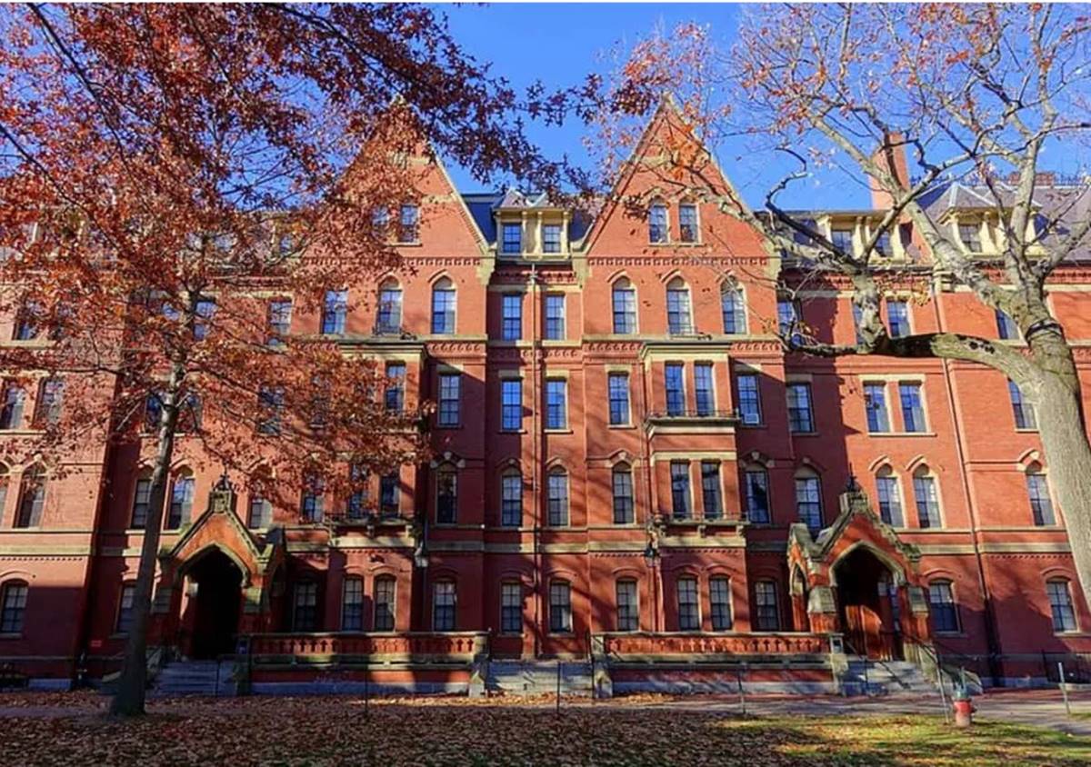 “Limitar ativismo”: saiba por que Trump congelou recursos para Harvard