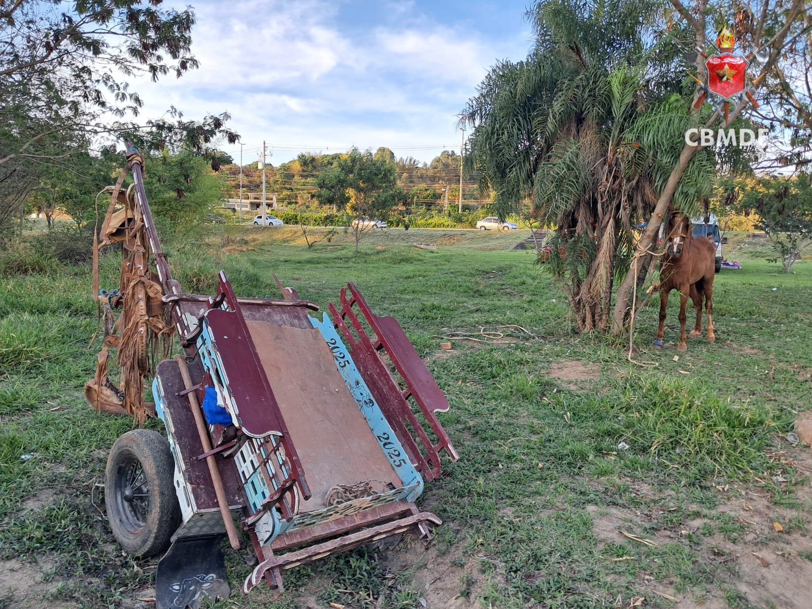 Carroça desgovernada atropela três pessoas no Lago Norte