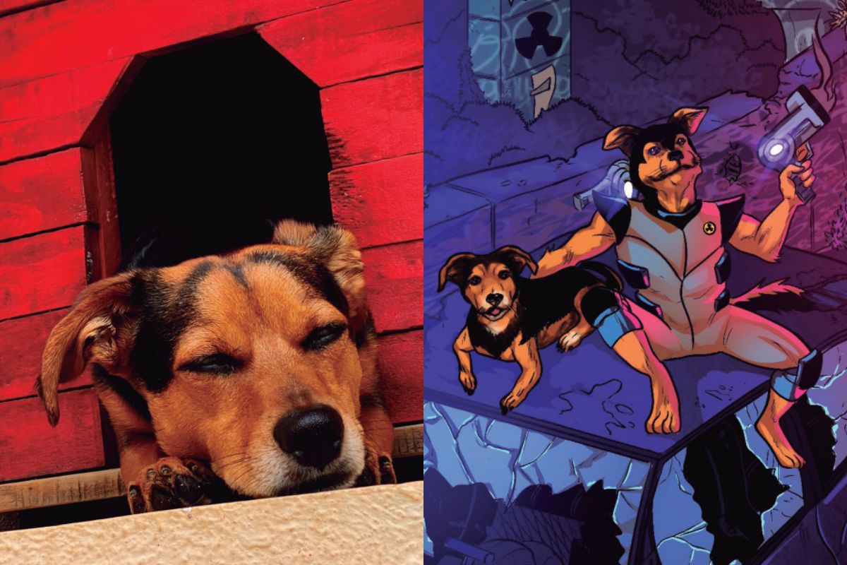A saga de Pituco: “supercão” de HQ vira livro e mascote de cidade