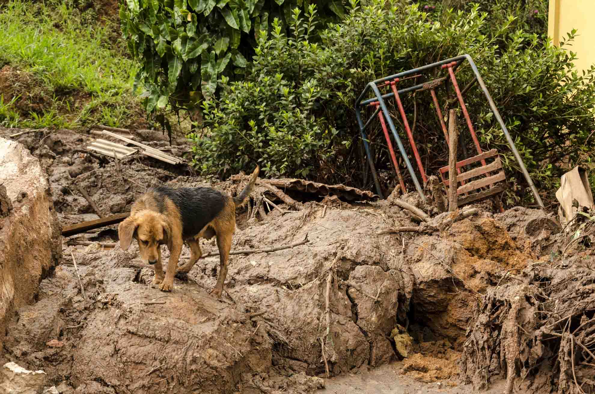 BHP recorrerá da decisão e diz que solução é o acordo de indenização