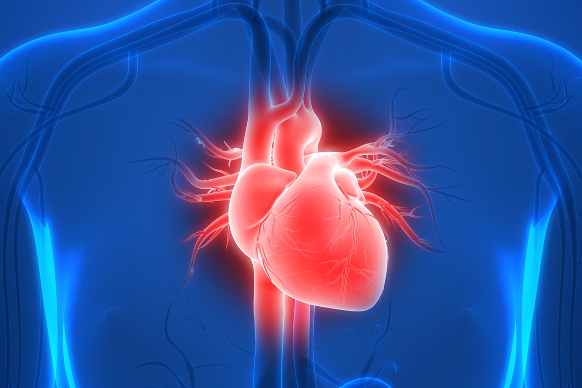 Cardiologista aponta qual é a pior bebida para a saúde do coração