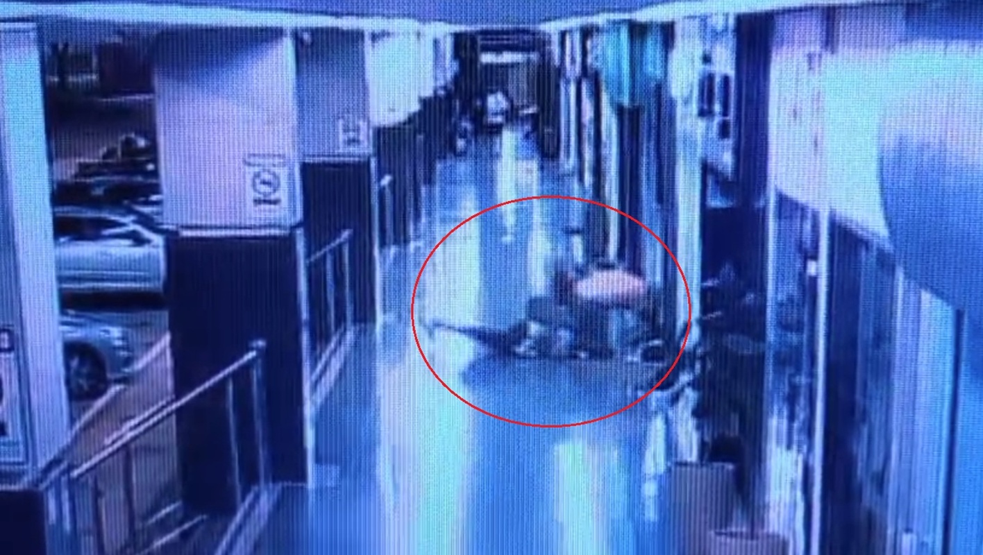 Habilidade de luta agravará situação de palmeirenses que espancaram flamenguista