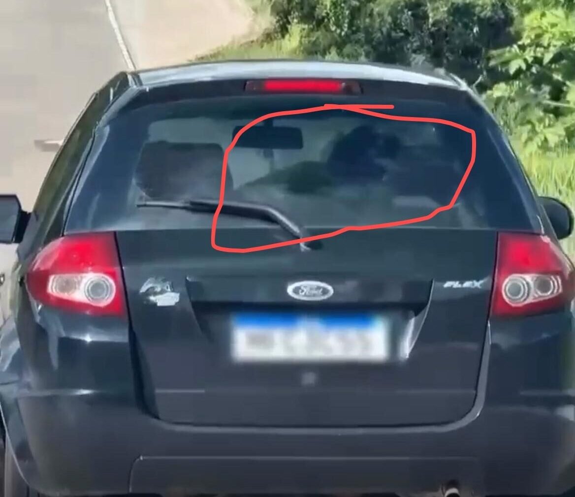 Casal é filmado em ato sexual no banco traseiro de veículo em movimento