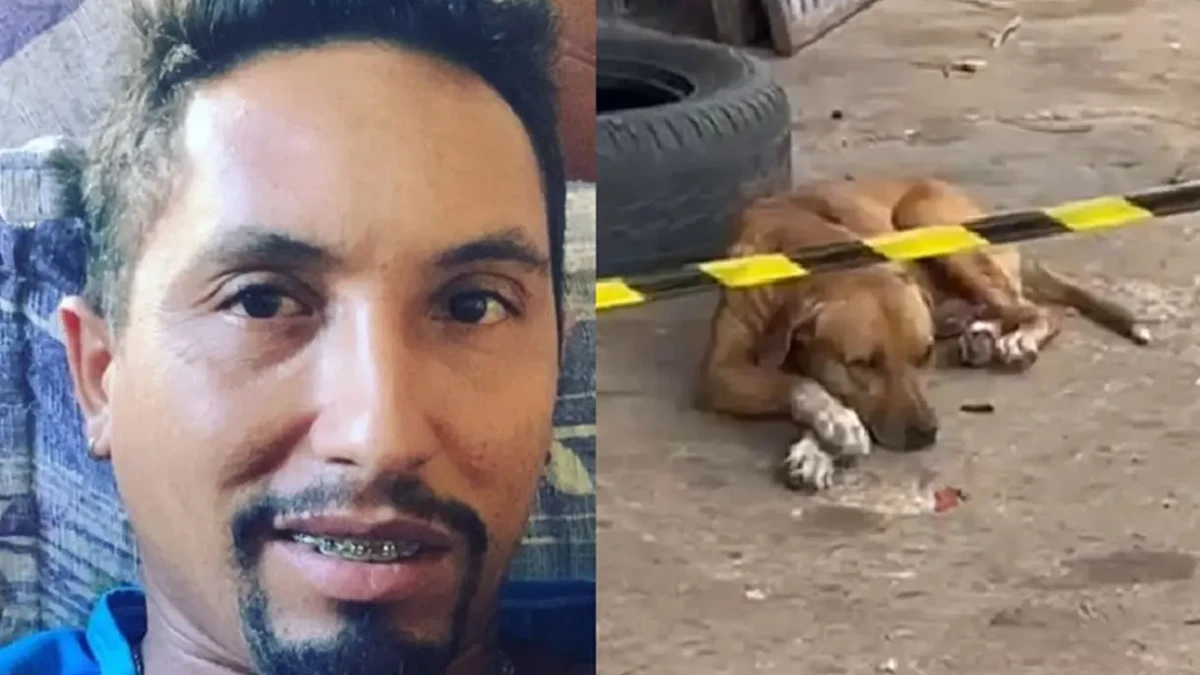Cachorro fiel permanece em borracharia após assassinato do tutor em Anápolis