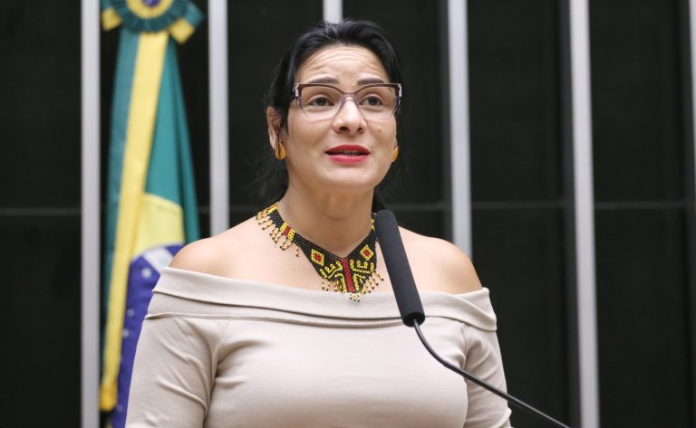 Câmara dos Deputados realiza audiência para analisar desdobramentos da COP30