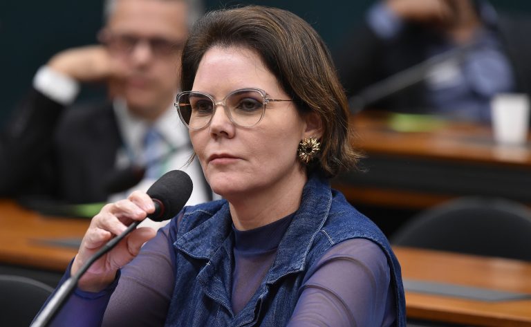 Comissão da Câmara aprova inclusão da sociedade civil em plano de combate à violência contra a mulher