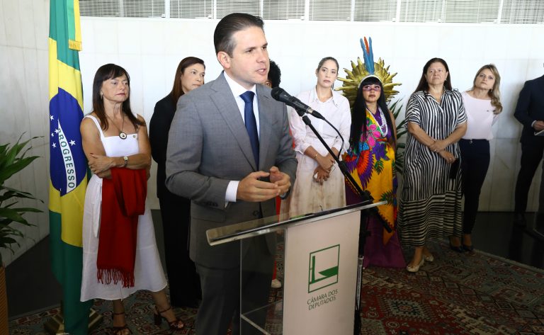 Projetos da bancada feminina serão prioridade na Câmara em março, diz Motta