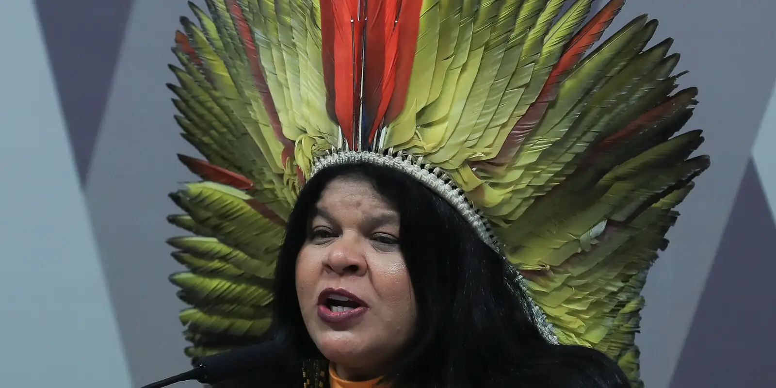 Sônia Guajajara apresenta melhora, mas segue hospitalizada em SP