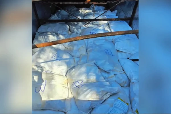 Motorista de caminhão é detido com 2,5 toneladas de defensivos agrícolas ilegais em Goiás