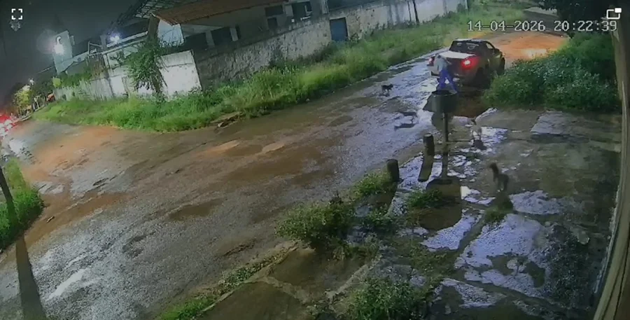 Homem é flagrado abandonando cinco cães na entrada de São Sebastião; assista ao vídeo