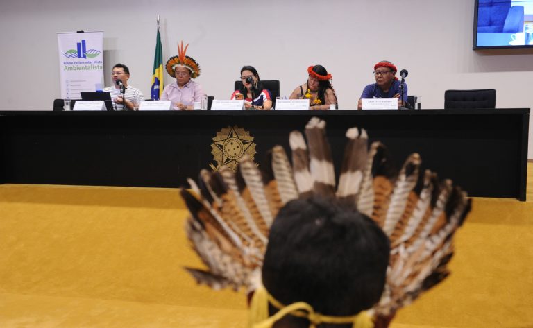 Representantes indígenas reivindicam maior participação política e segurança territorial em evento na Câmara