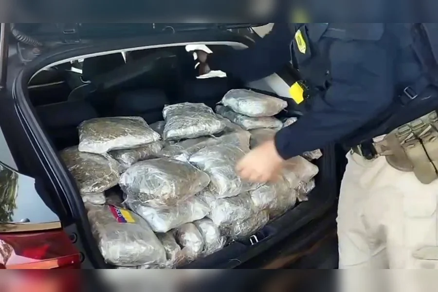 Jovem é detido na BR-060 com porta-malas repleto de skunk
