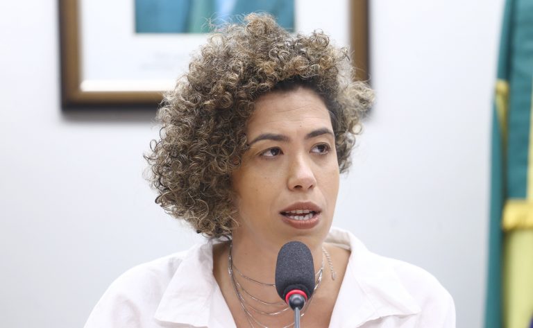 Comissão da Câmara promove seminário sobre a Nova Economia