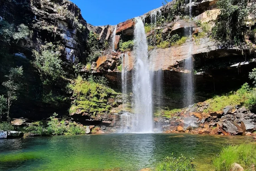 Criança é atacada por onça durante passeio em família na Chapada dos Veadeiros