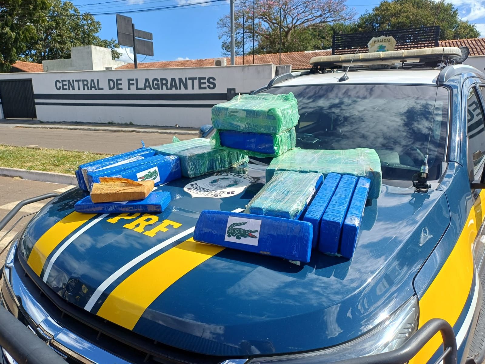 PRF apreende 50 kg de maconha e realiza prisão de mulher em Trindade