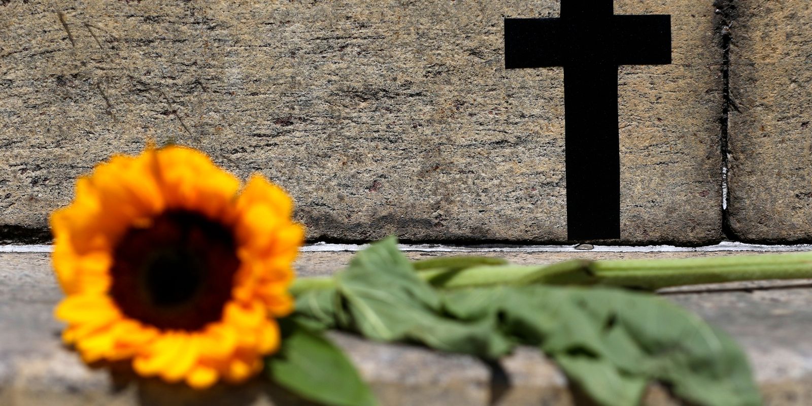Feminicídio em São Paulo cresce 41%; violação de medida protetiva avança 31,9%