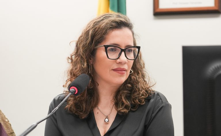 Comissão de Cultura da Câmara veta incentivo público a obras que promovam violência contra a mulher