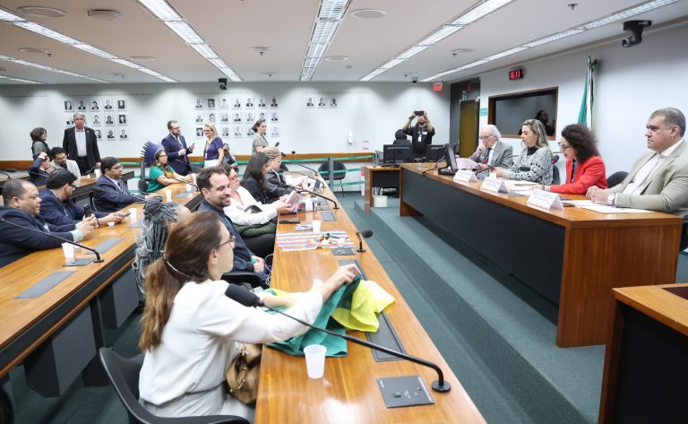 Fortalecimento de ouvidorias externas das defensorias públicas é defendido em debate na Câmara
