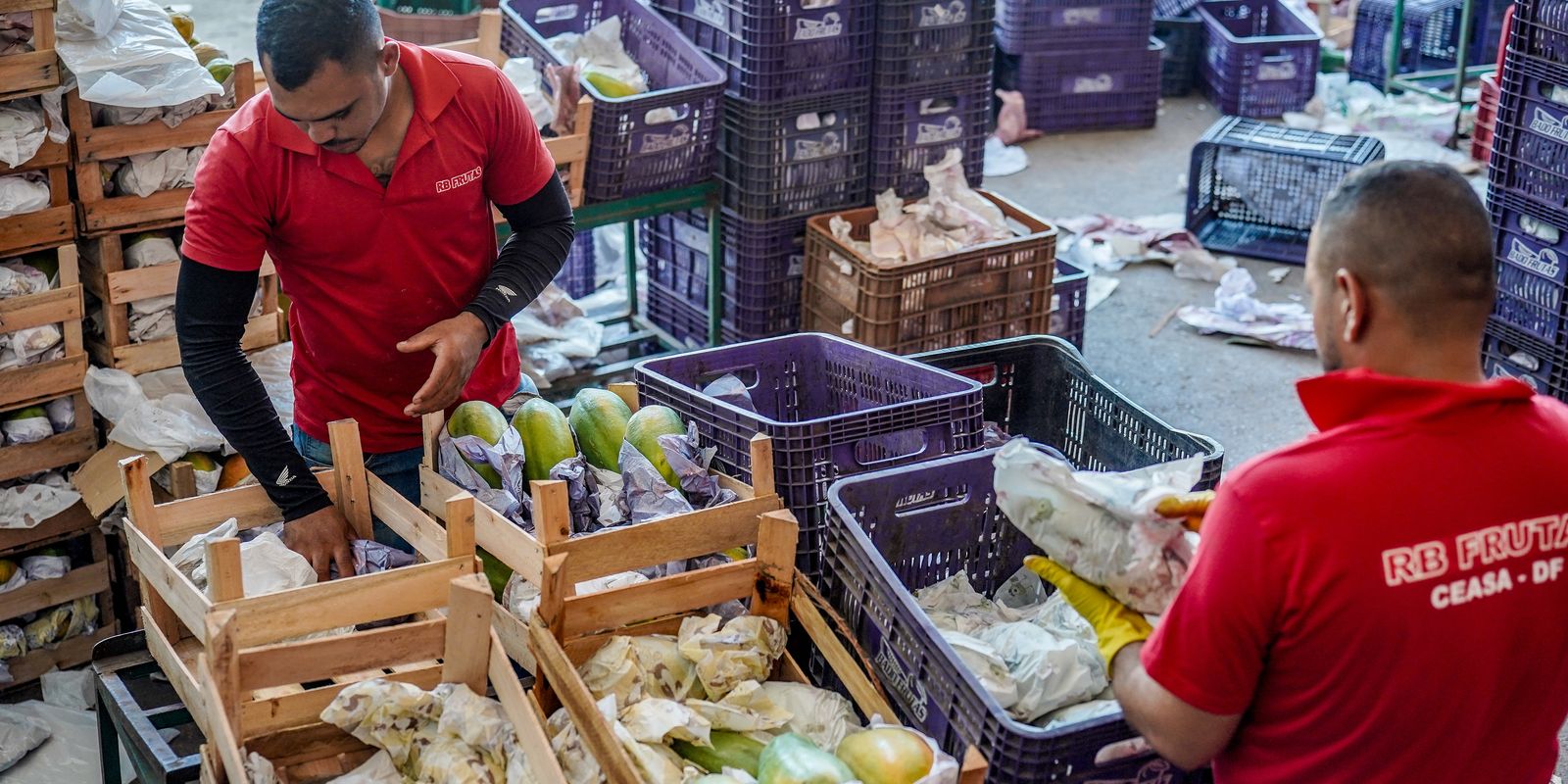Agricultura familiar receberá R$ 97,3 bilhões em crédito no Plano Safra 2026/2027