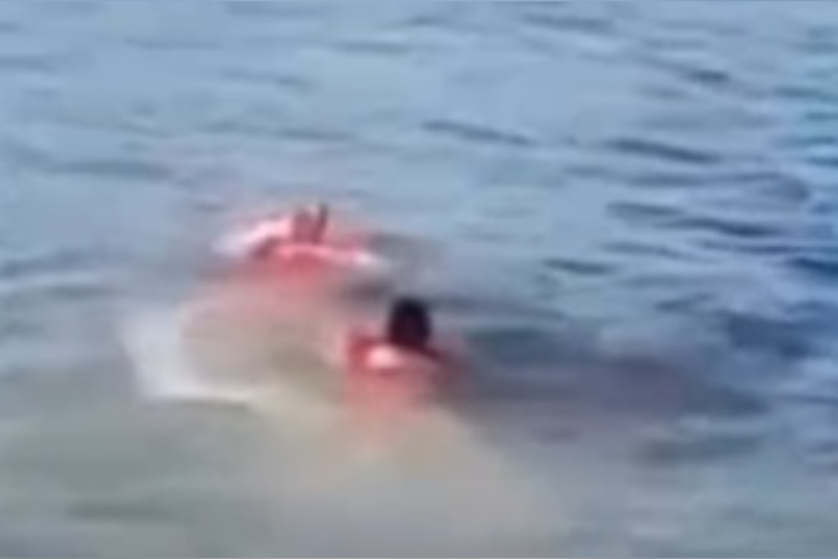 Corpo de homem de 65 anos é encontrado na Lagoa da Pampulha, em Belo Horizonte
