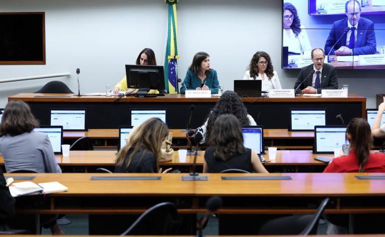 Grupo de trabalho sobre misoginia apresentará relatório final na próxima quarta-feira