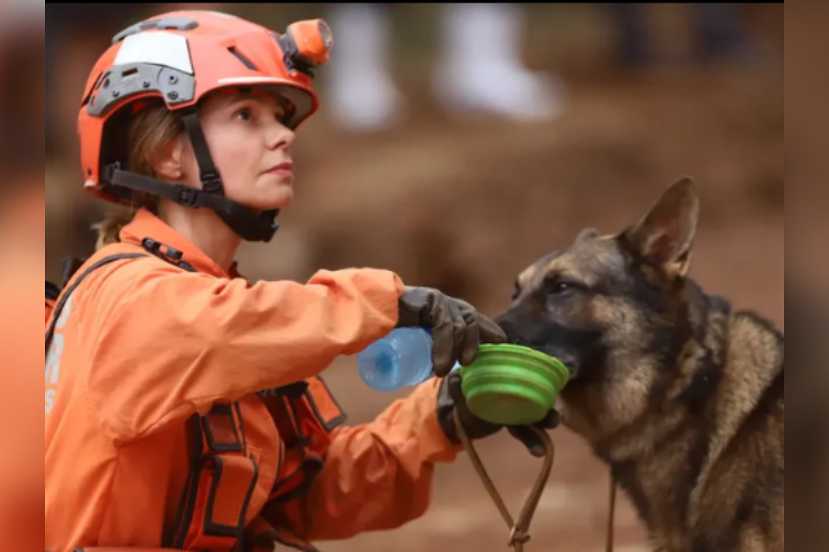 Bombeira e cão de busca K9 retornam ao Brasil após missão humanitária na Venezuela