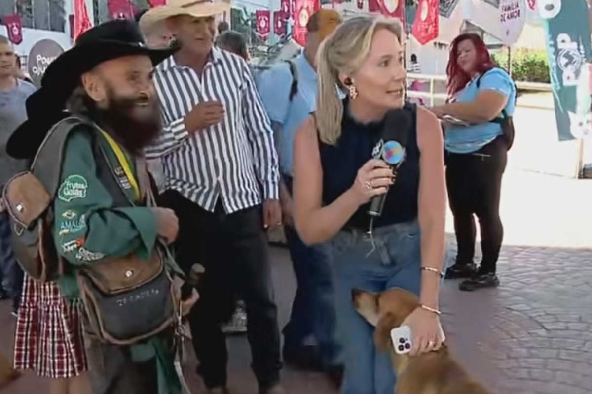 Cachorro caramelo surpreende Luciana Finholdt e abocanha ponto eletrônico em transmissão ao vivo
