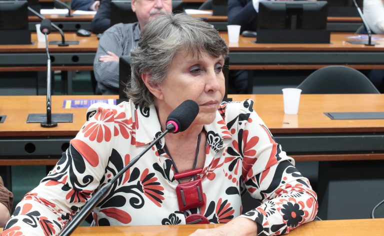 Comissão da Câmara debate a importância de dados oficiais para a população LGBTQIA+