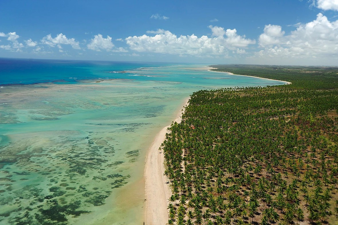 Costa dos Corais: preservação ambiental e turismo de experiência no litoral de Alagoas