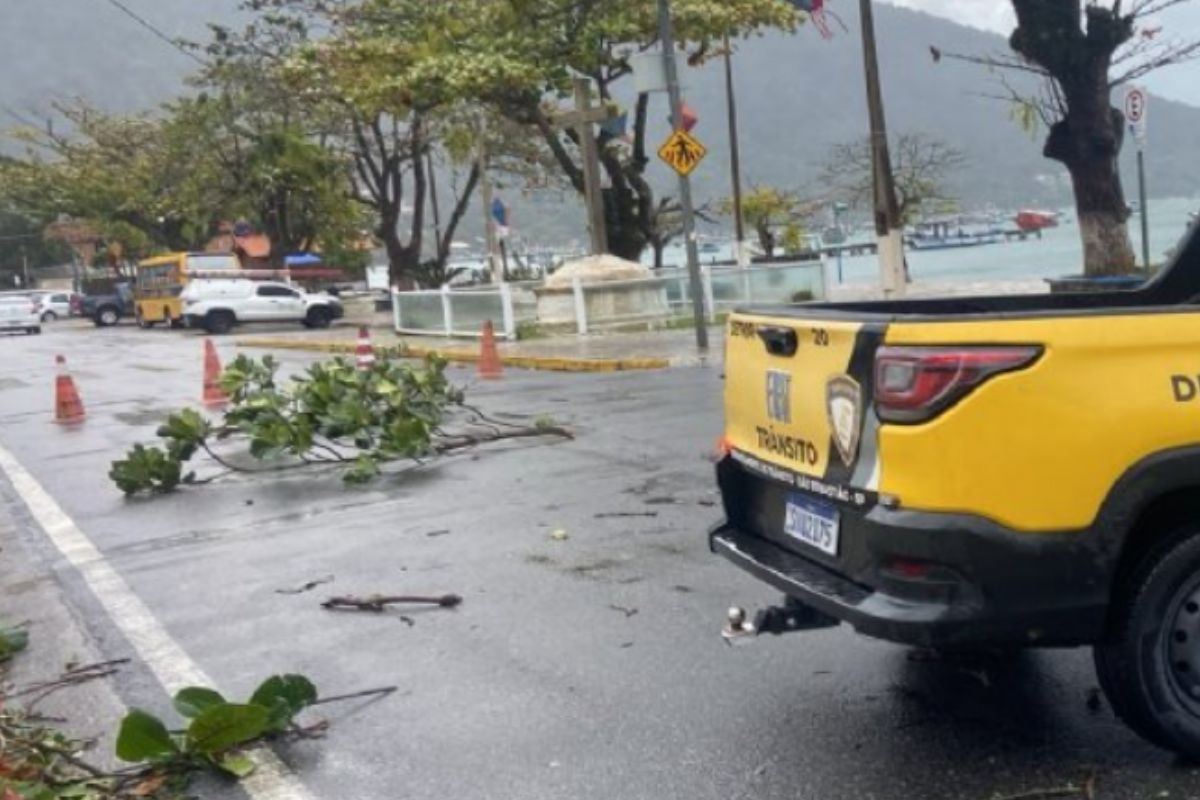 Previsão do tempo em São Paulo indica estabilidade após ventania devastadora