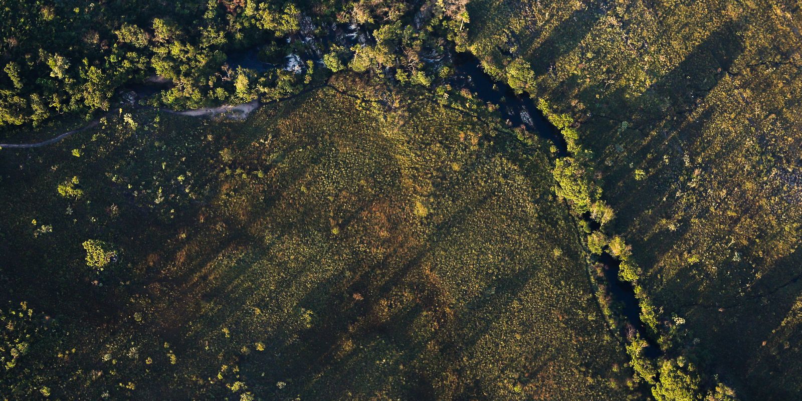 CMN reduz taxas de juros para crédito rural voltado à sustentabilidade