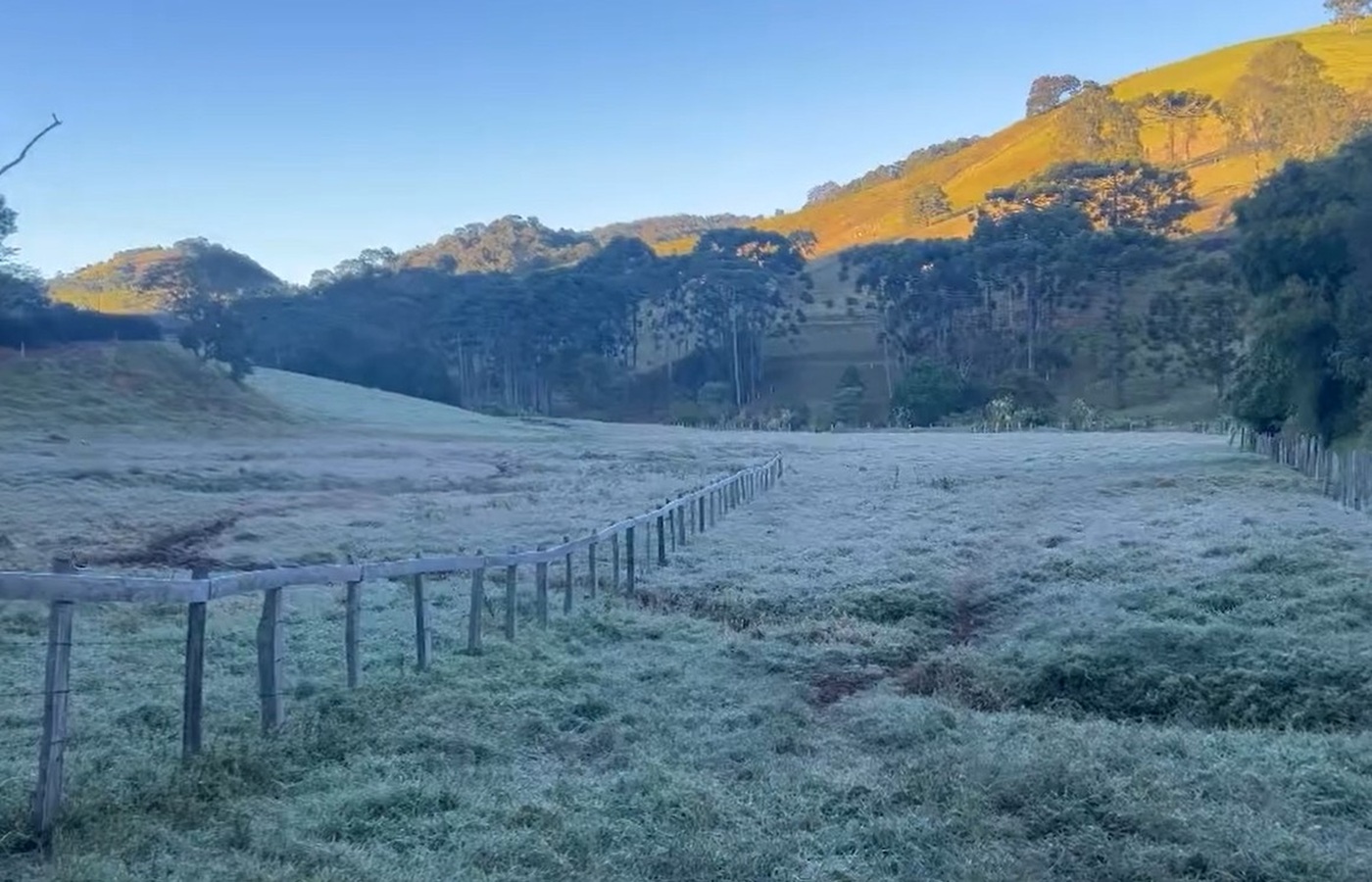 Geada intensa atinge Maria da Fé, no Sul de Minas, após temperaturas caírem a -1,3°C