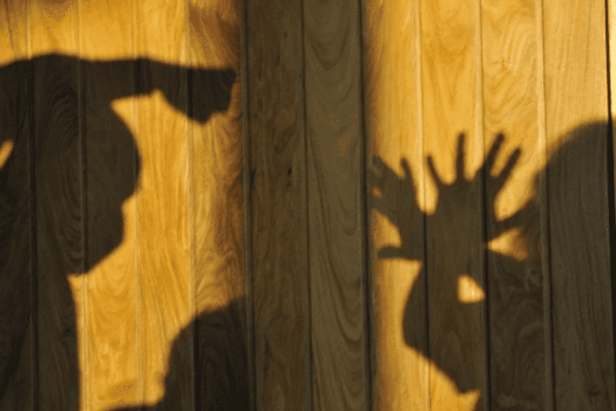 Filho com histórico de violência doméstica é preso após matar a própria mãe