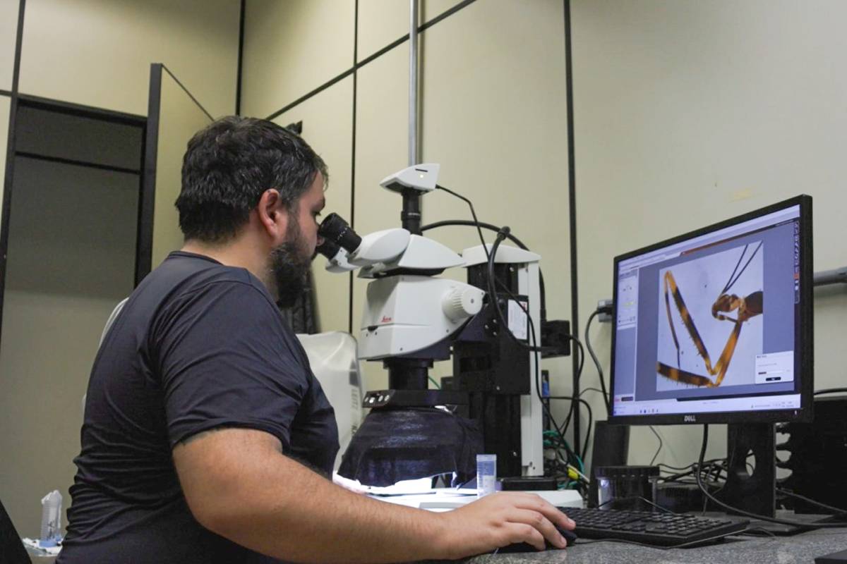 Pesquisador da Unesp identifica primeiro inseto barbeiro vivo na Europa