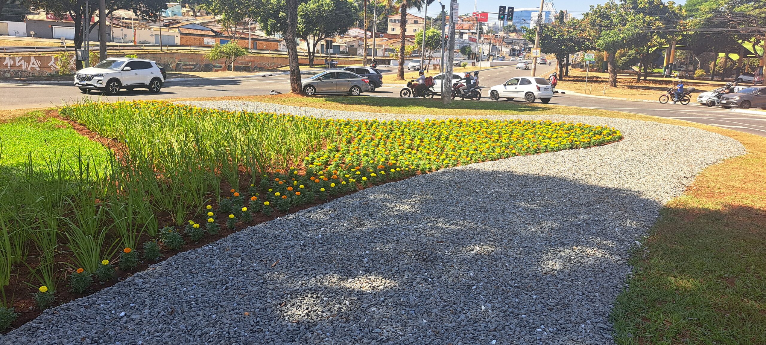 Projeto Florescer revitaliza rotatória do Cepal e expande o paisagismo em Goiânia