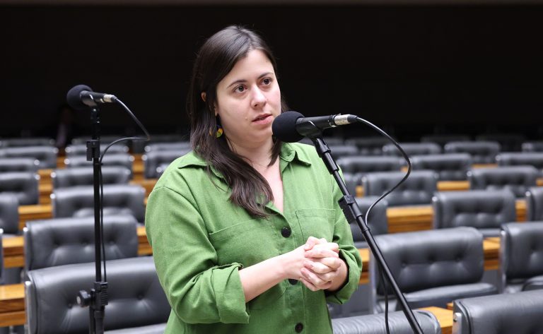 Projeto na Câmara dos Deputados visa proibir acesso a armas de fogo para quem possui medidas protetivas