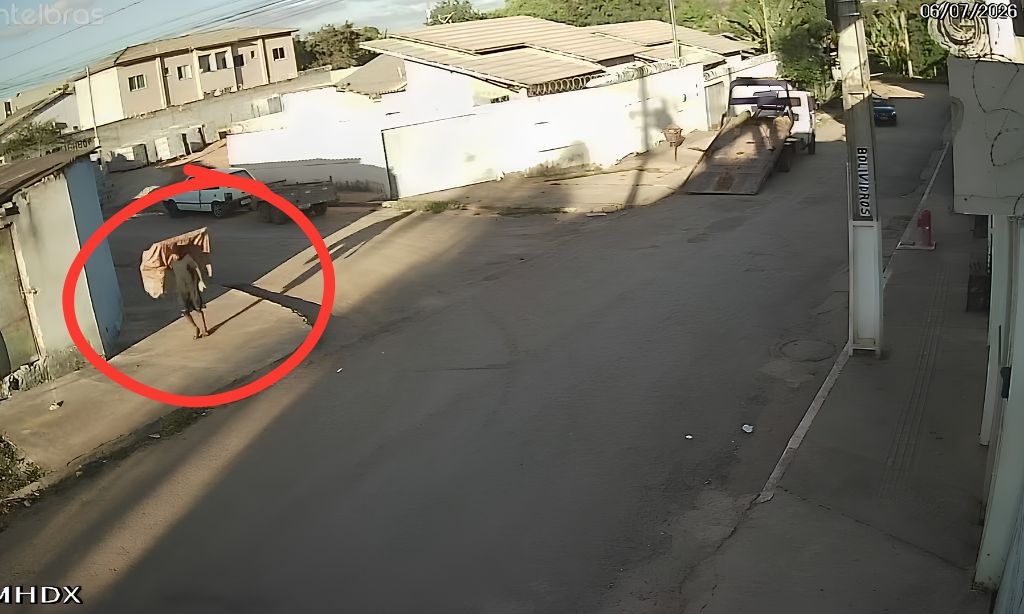 Homem é flagrado furtando bicicleta e TV em condomínio no Jardim Ingá