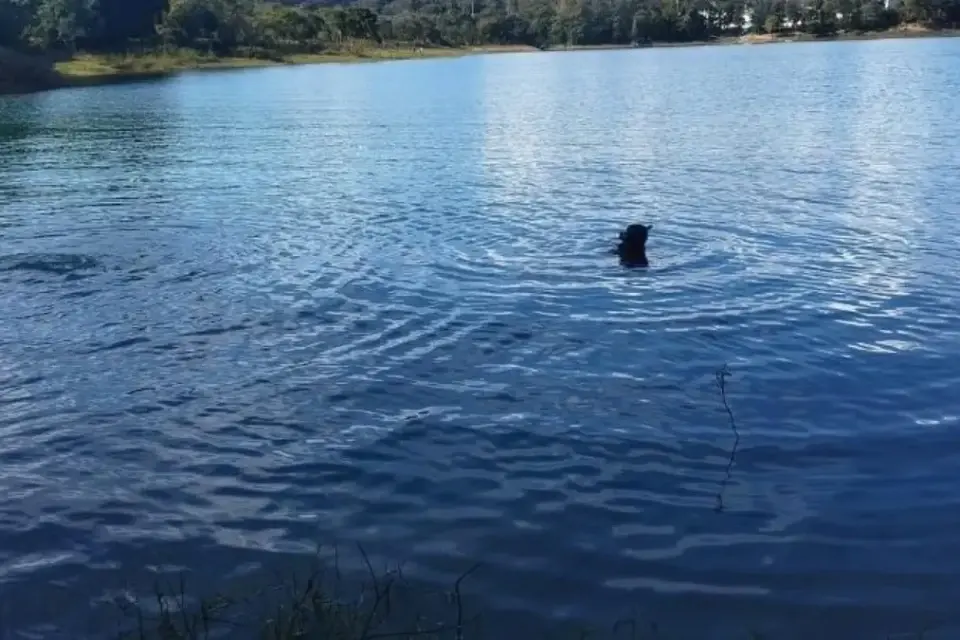 Tragédia no Lago Corumbá: tia e sobrinho morrem afogados em Caldas Novas