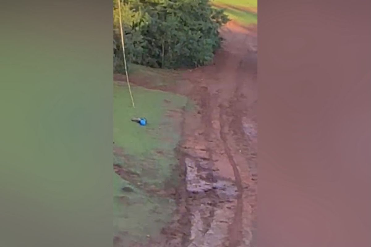 Vídeo flagra criança ferida em salto de rope jump com equipe da Entre Cordas na Ponte do Esqueleto