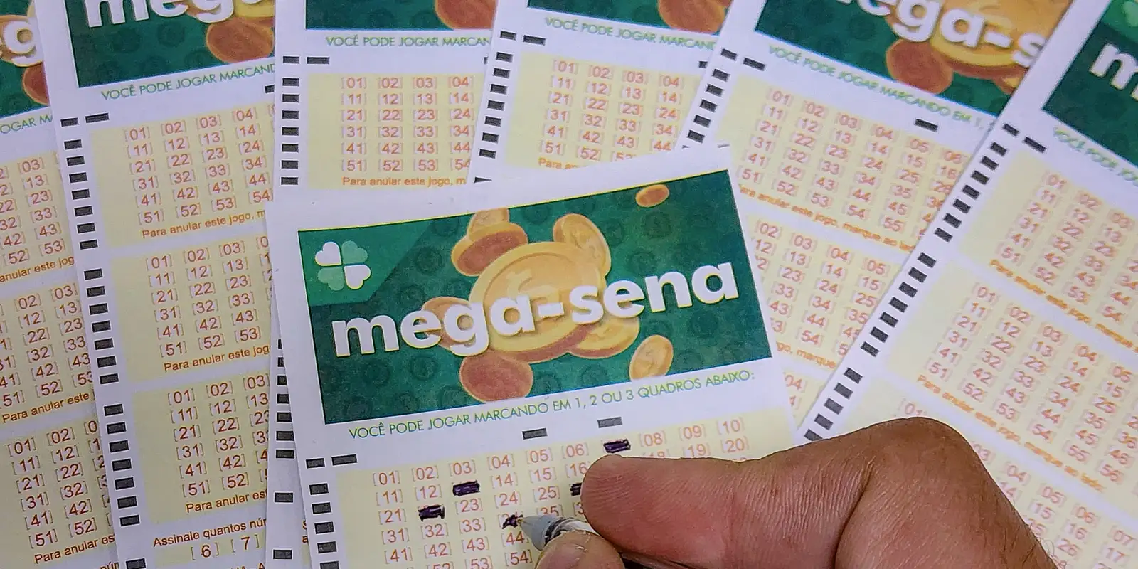 Aposta individual de Blumenau fatura R$ 57 milhões no sorteio da Mega-Sena