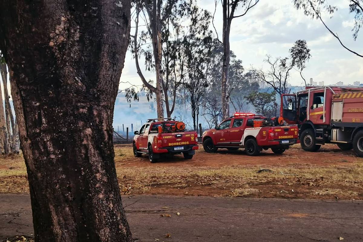 Incêndio em vegetação mobiliza bombeiros em dezenas de chamados no DF
