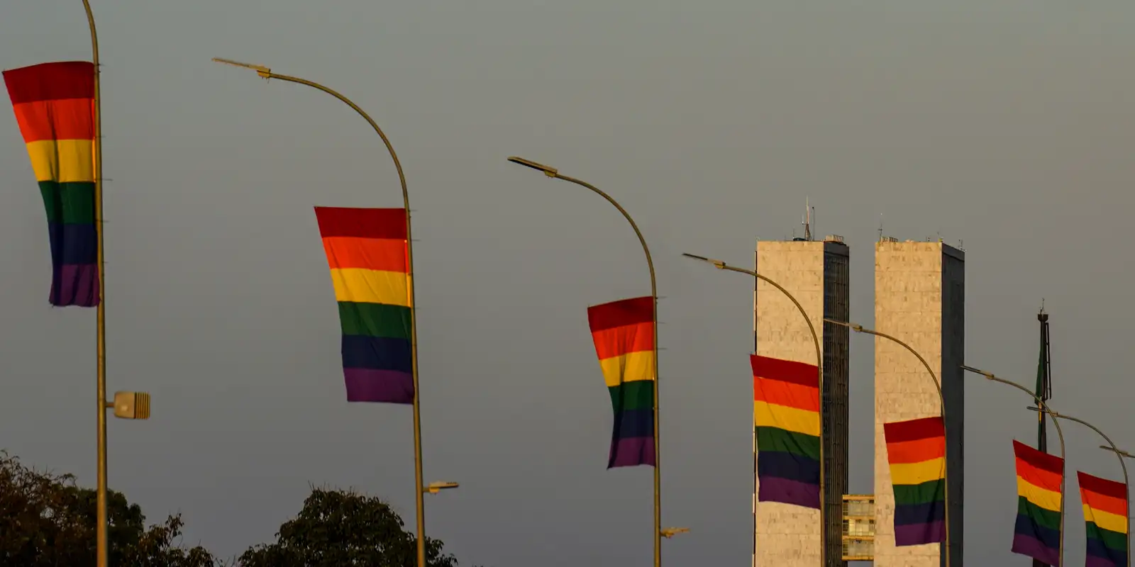 Candidaturas LGBT+ batem recorde histórico nas eleições de 2026 e ampliam espaço político