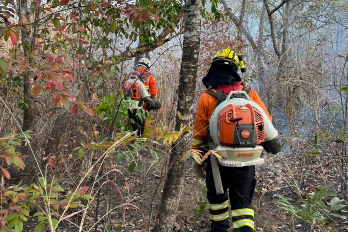 Incêndio na Chapada dos Veadeiros avança e já destrói 1,8 mil hectares