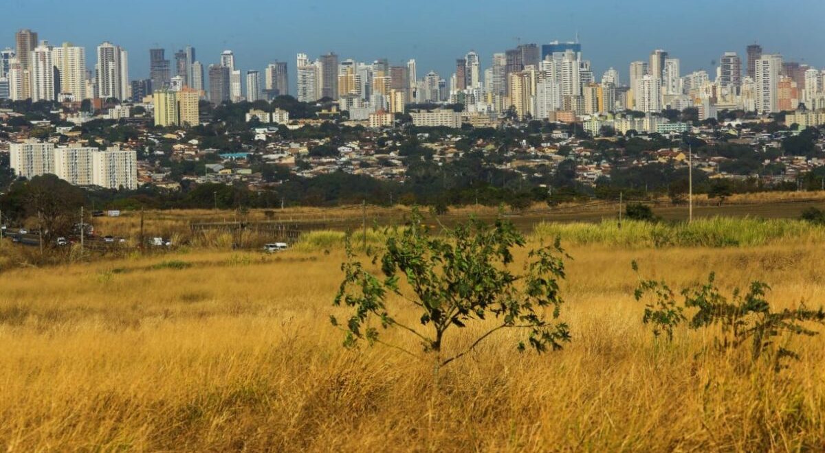 El Niño no Centro-Oeste deve intensificar seca e risco de queimadas