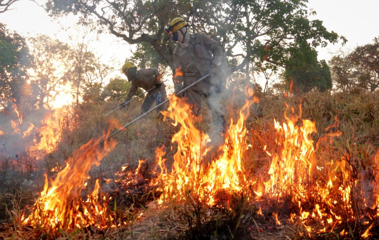 Governo de Goiás reforça prevenção a incêndios e proíbe uso do fogo