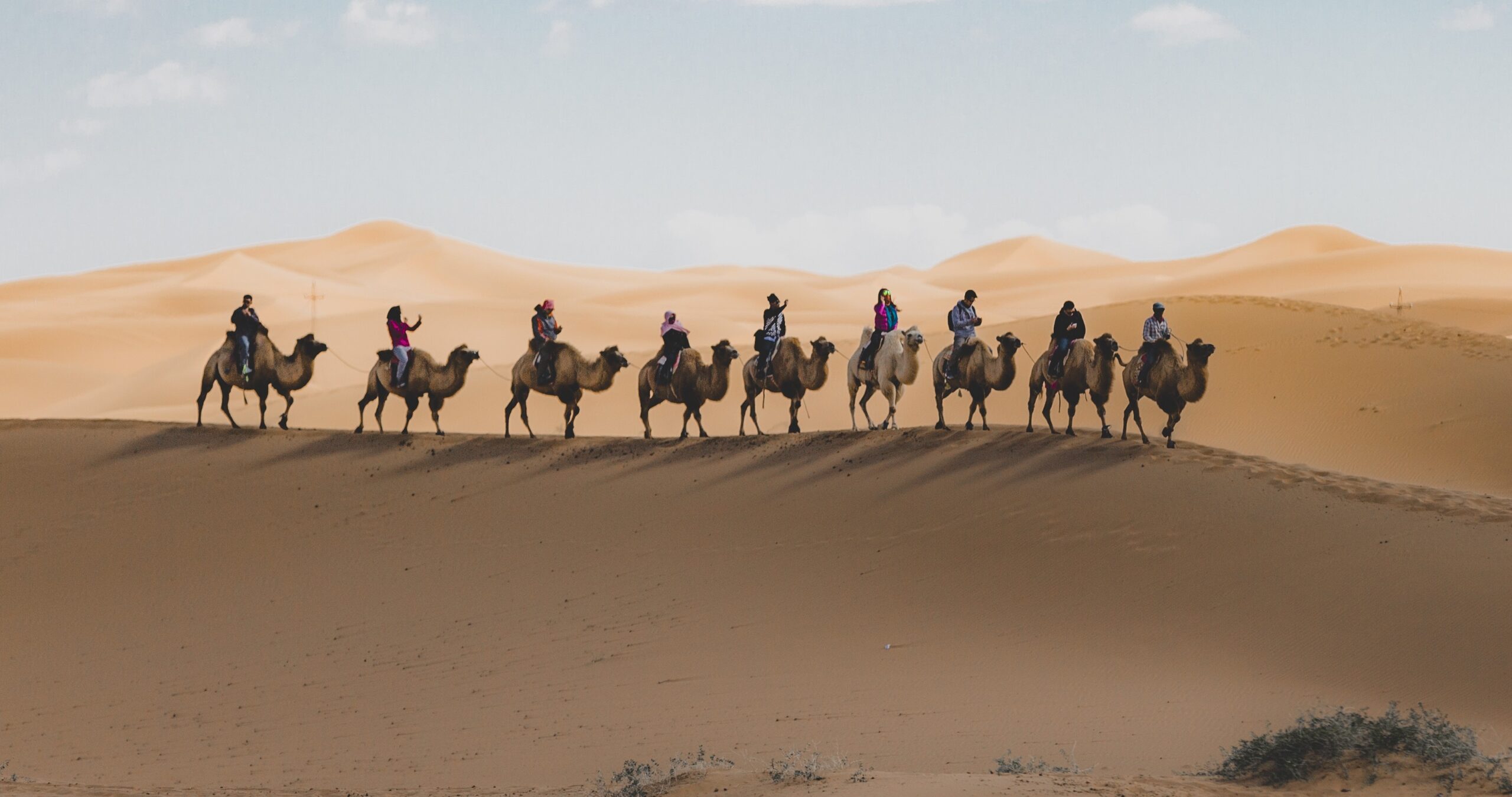 Guia de viagem marrocos: dicas essenciais para a sua primeira aventura