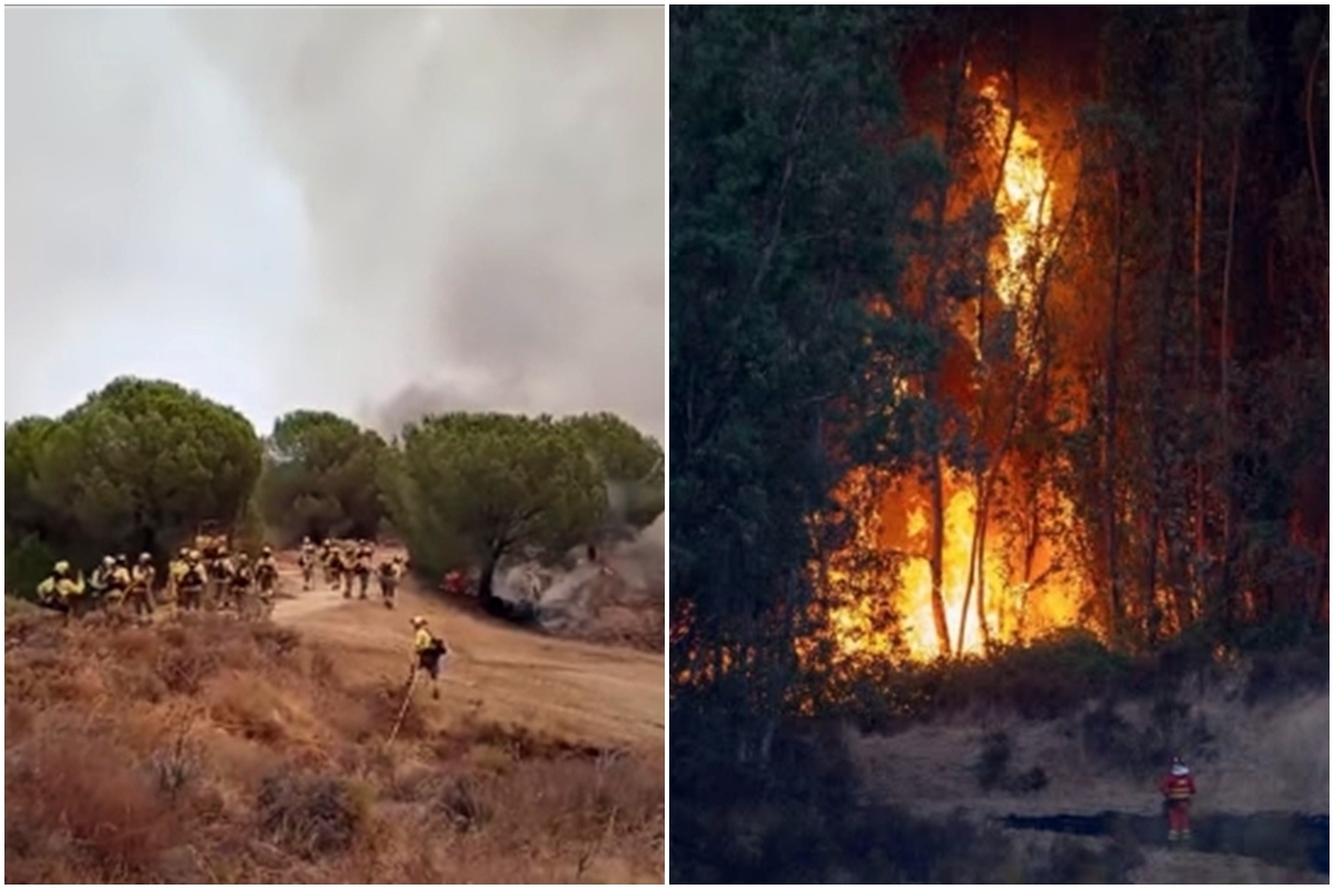 Grande incêndio florestal na Espanha destrói 4 mil hectares e força evacuação