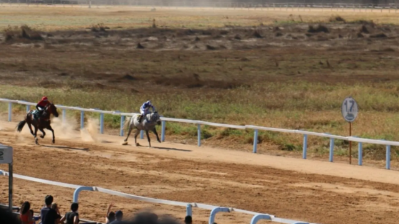 Jóquei Clube recupera carta-patente e viabiliza retorno de corridas de cavalos