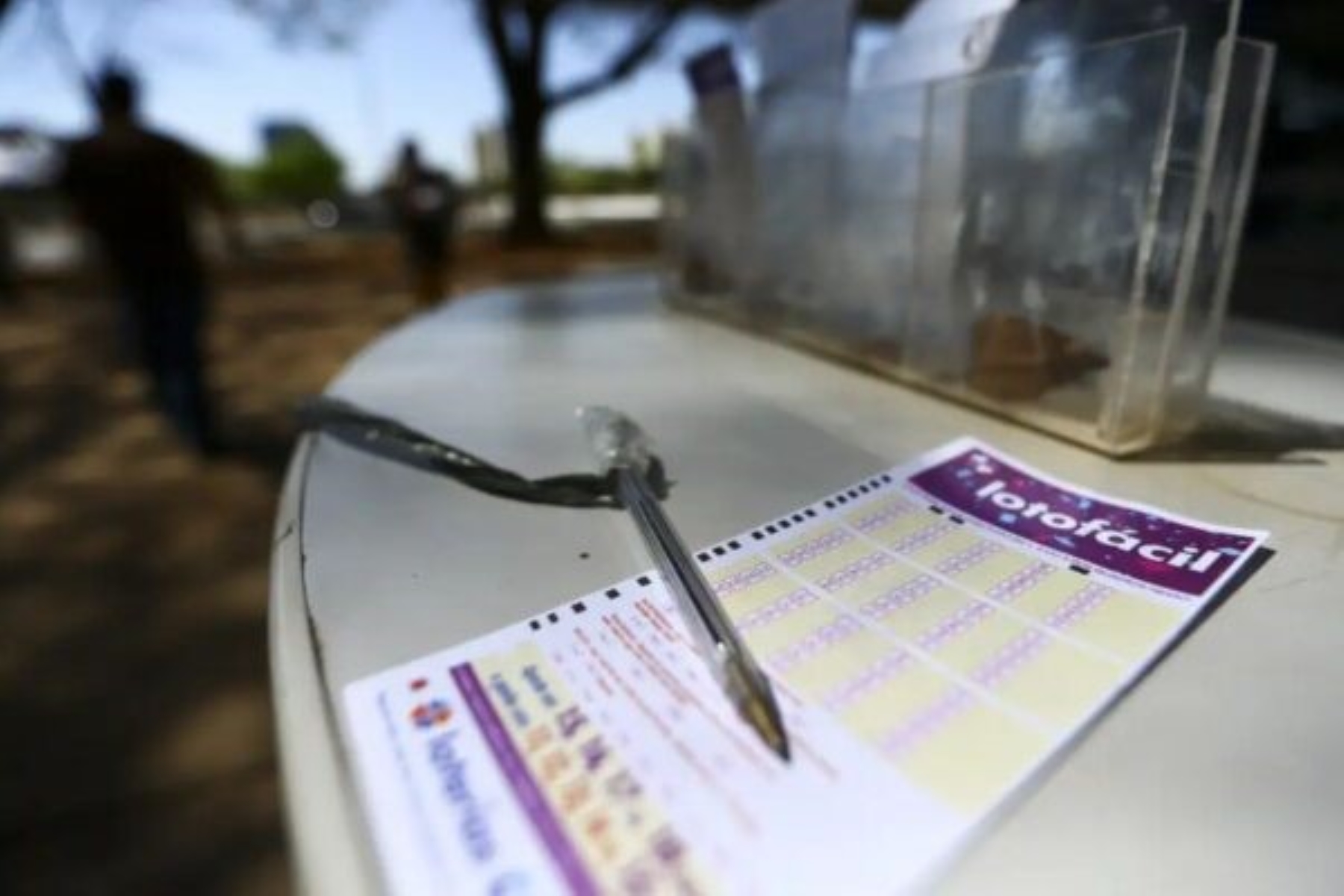 Sorteio da Lotofácil 3766 premia três apostas com R$ 2 milhões