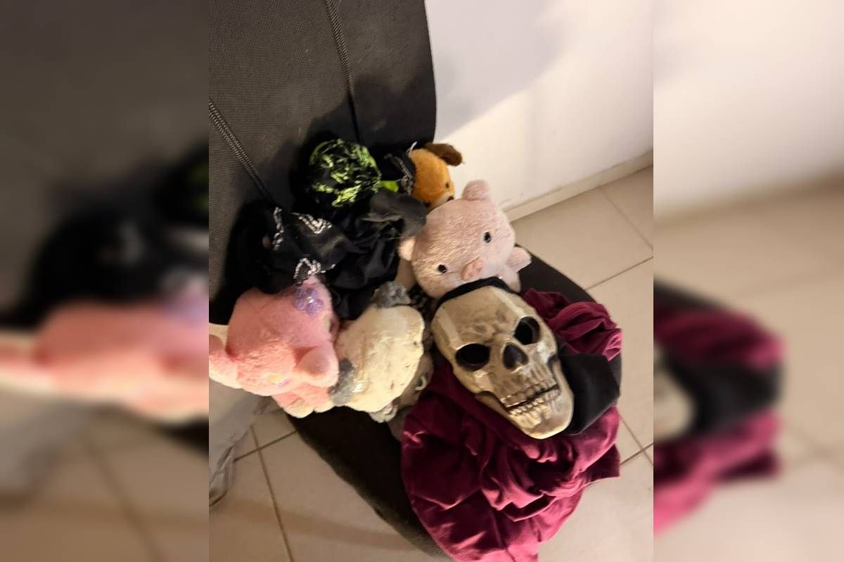 Homem de 23 anos é preso por praticar violência sexual virtual em SC